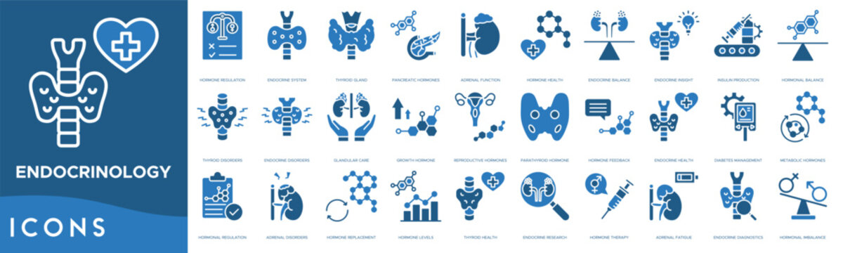 Endocrinology icon set. Hormone Regulation, Endocrine System, Thyroid Gland, Pancreatic Hormones, Adrenal Function, Hormone Health, Endocrine Balance, Endocrine Insight, Insulin Production