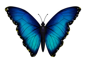 Иллюстрация без названия