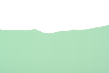 Cartulina rasgada de color verde claro, recurso gráfico