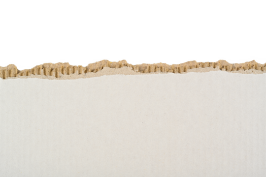 Cartón rasgado de color blanco