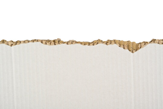 Cartón rasgado de color blanco