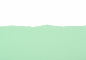 Cartulina rasgada de color verde claro, recurso gráfico