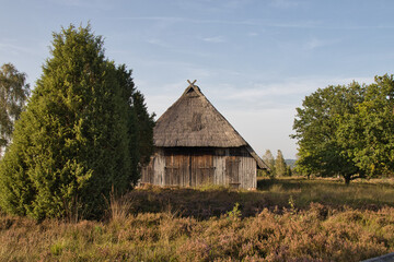 L&uuml;neburger Heide