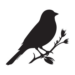 Fototapeta premium crow on a white background