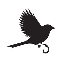 vector silhouette illustration of a bird