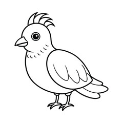 vector silhouette bird on white background