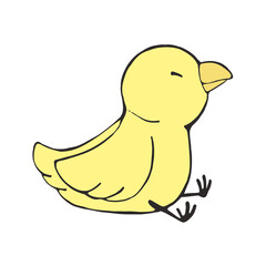 座っている黄色い鳥