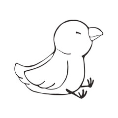 座っている鳥(白黒)