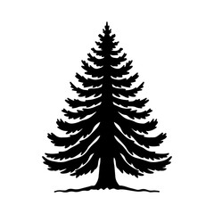 Obraz premium Tree Silhouette 