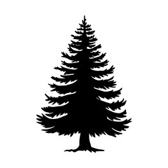 Obraz premium Tree Silhouette 