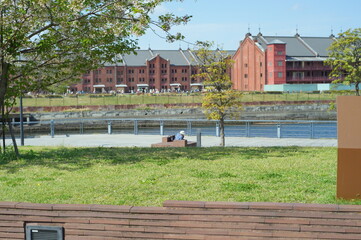 綺麗な庭で撮影した色とりどりの花達