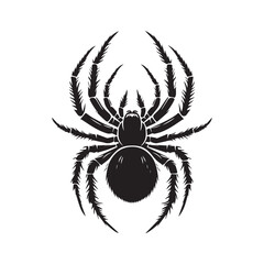 Obraz premium spider isolated on white background