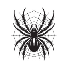 Obraz premium spider on a white background