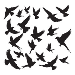 set of silhouettes of birds