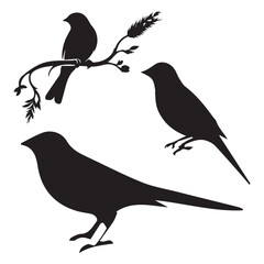 vector silhouette illustration of a bird