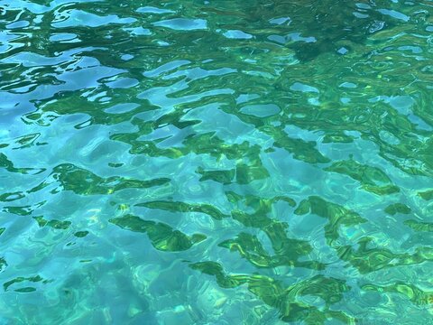 Sea surface