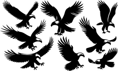 Obraz premium Set of black eagle silhouettes, majestic bird of prey illustrations in various poses