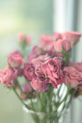 pink rose in a vase