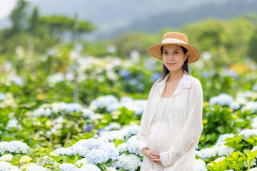 Pregnant woman visit the Hydrangea flower farm