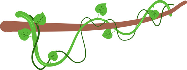 Liana vines Illustration 