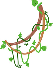 Liana vines Illustration  © DesignNFMR