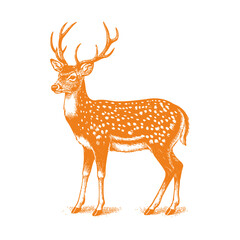 spotted deer vector,  deer silhouette