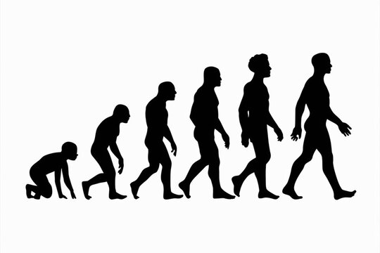 human evolution silhouette, evolution of human