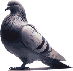 dove of peace
