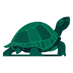 A turtle Vector silhouette with white background