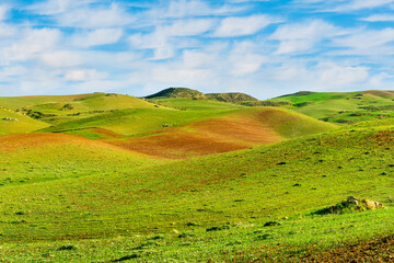 panoramic farmland landscape with green spring field , salad and yellow hills, garden and grassland and beautiful cloudy sky.