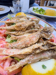 fried red mullet fish on plate