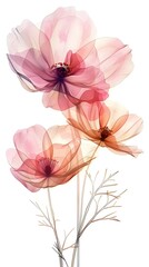 Obraz premium Delicate Watercolor Cosmos Flowers Blooming in a Serene Garden Landscape with Impressionistic Style and Cinematic Photographic Details