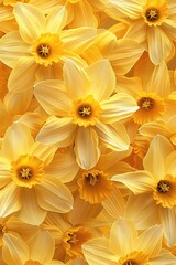 Obraz premium Repeating Daffodil Blossoms in Tessellating Abstract Floral Design