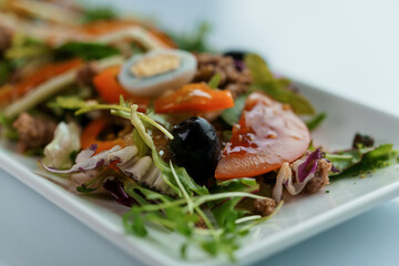 Salad with cabbage, cucumber, egg, onion, tuna and olive oil on a white saucer on a white background