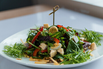 Salad with cabbage, cucumber, egg, onion, tuna and olive oil on a white saucer on a white background
