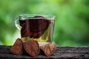 Bauhinia sirindhorniae wood dried slices used to boil drinking water on natural background.