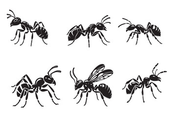 Ant silhouette vector illustration.eps