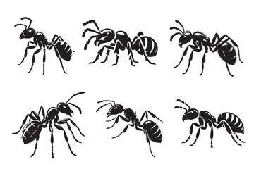 Ant silhouette vector illustration.eps
