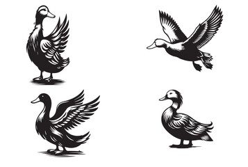duck silhouette vector illustration