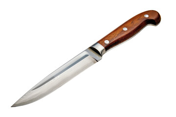 Sharp Knife with Wooden Handle