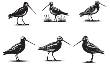 Obraz premium snipe silhouette vector illustration