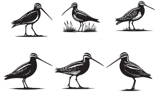 snipe silhouette vector illustration
