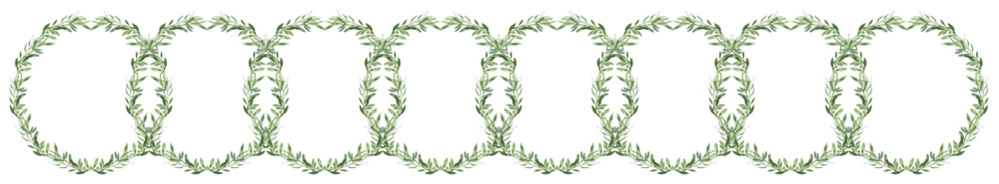 Anneaux d&rsquo;olivier, fond blanc 