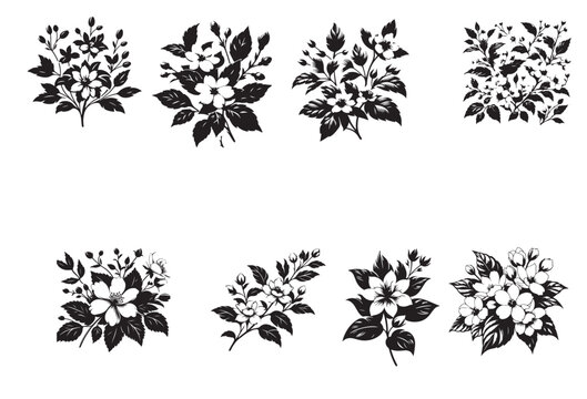 jasmin flower silhouette vector illustration