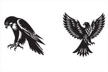  Falcon  Bird silhouette vector illustration