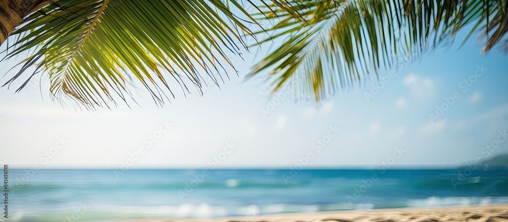Aufkleber sand with blurred palm and tropical beach bokeh background summer vacation and travel concept copy s