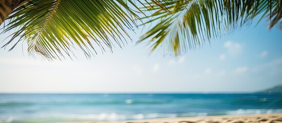 Fototapeta premium Sand with blurred Palm and tropical beach bokeh background Summer vacation and travel concept Copy space