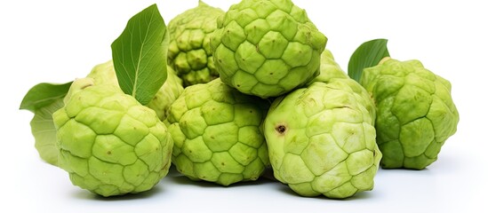 Obraz premium Noni fruits on white isolated background. copy space available