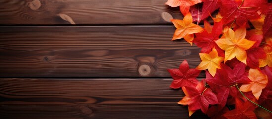 Transnistria flag on autumn wooden background with leaves and good place for your text. copy space available