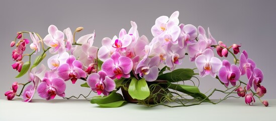 Obraz na płótnie Canvas Floral design with orchids Copy space